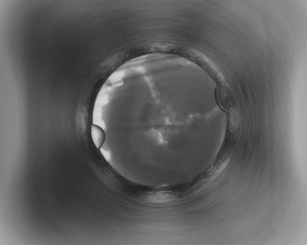 X0000100940451200807221201