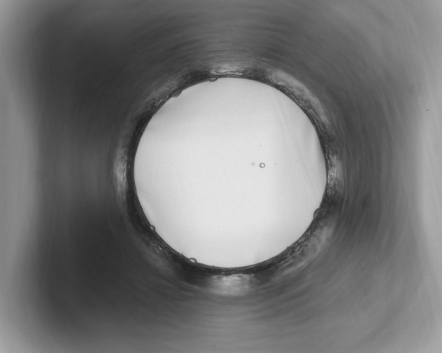 X0000100940452200807221201