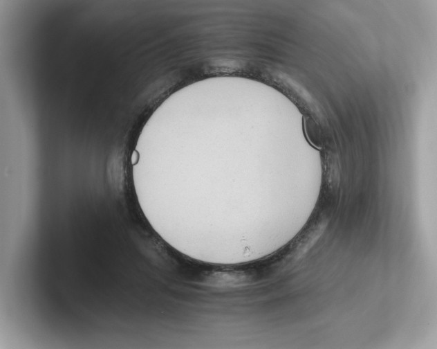 X0000100940455200807221201