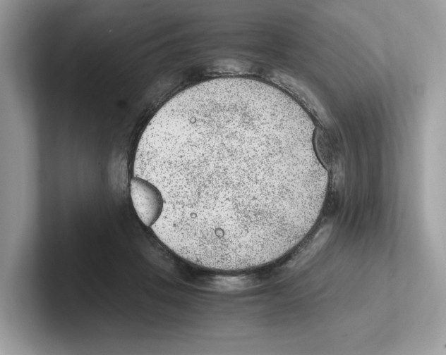 X0000100940457200807221201