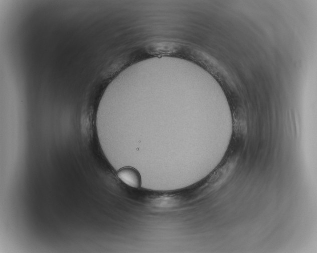 X0000100940460200807221201