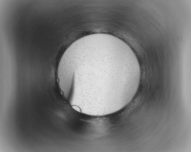 X0000100940461200807221201