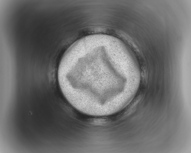 X0000100940462200807221201