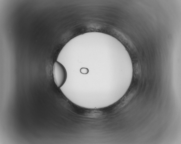 X0000100940463200807221201