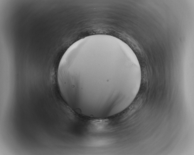 X0000100940465200807221201