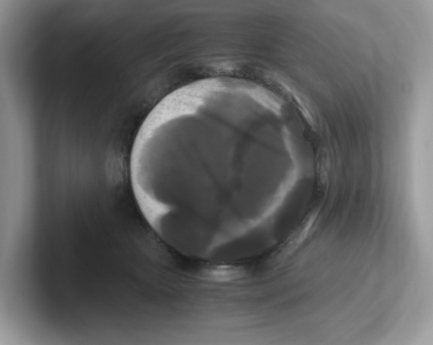 X0000100940467200807221201