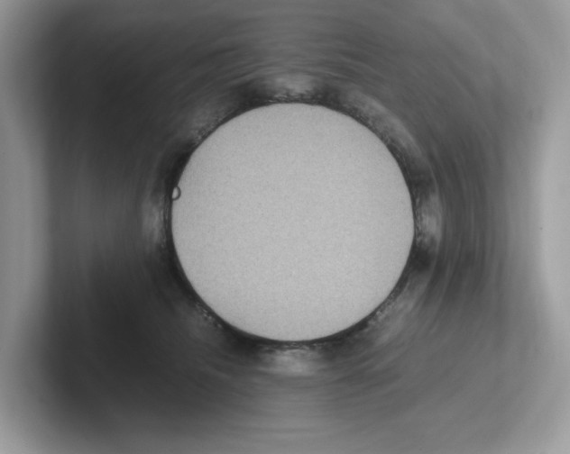 X0000100940468200807221201