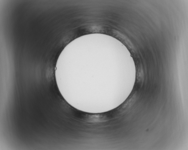 X0000100940473200807221201