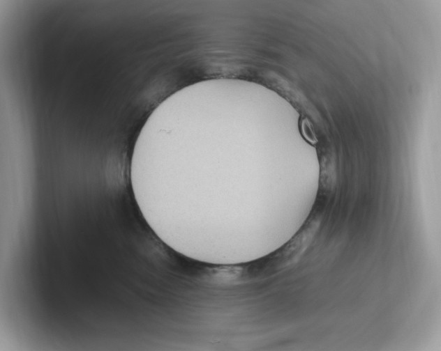 X0000100940474200807221201