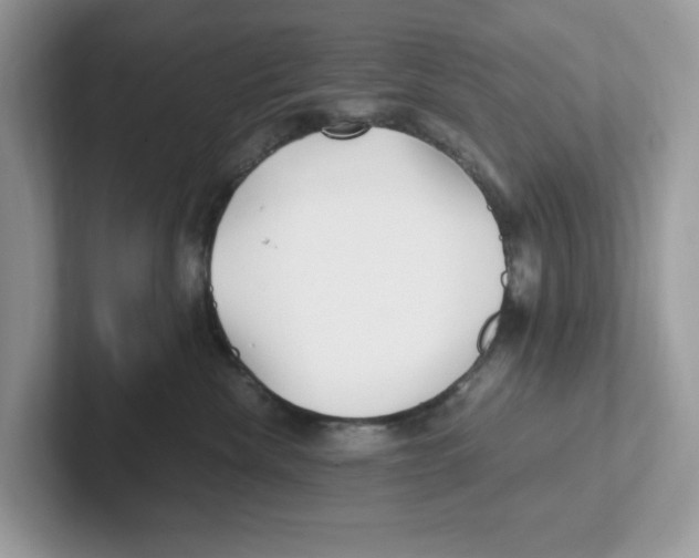 X0000100940476200807221201