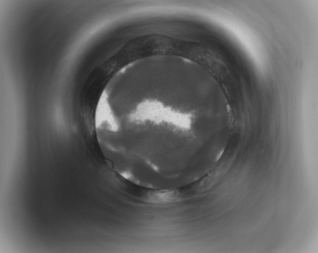 X0000100940479200807221201