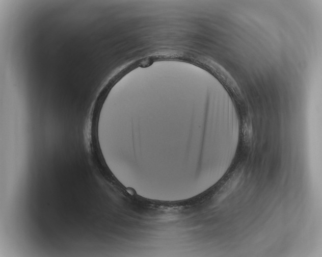 X0000100940484200807221200