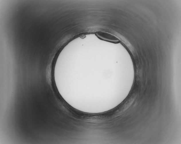 X0000100940485200807221200