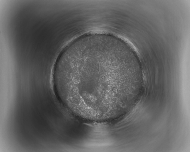 X0000100940487200807221200