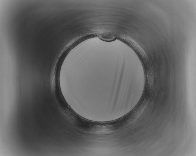 X0000100940488200807221200