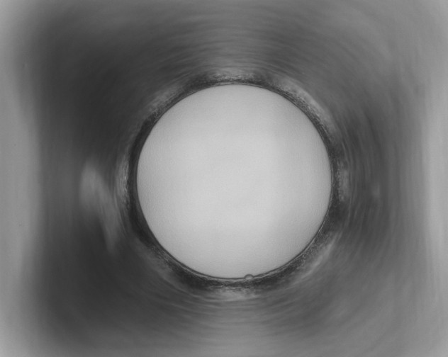 X0000100940490200807221200