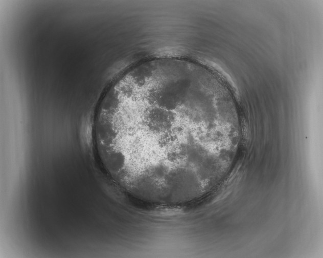 X0000100940491200807221200