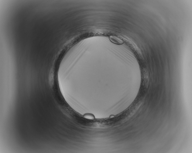 X0000100940496200807221200