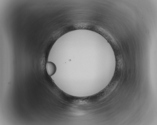 X0000100940498200807221200