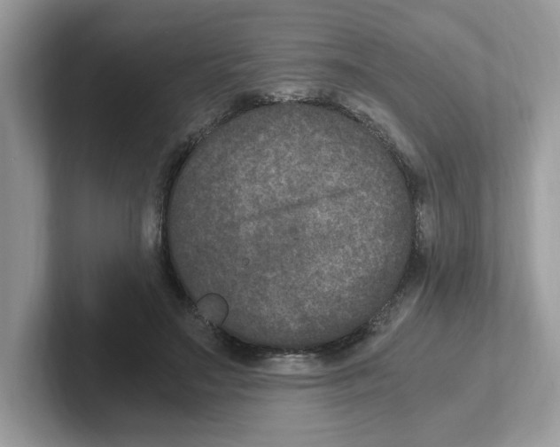 X0000100940499200807221200