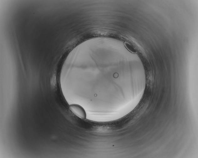 X0000100940500200807221200