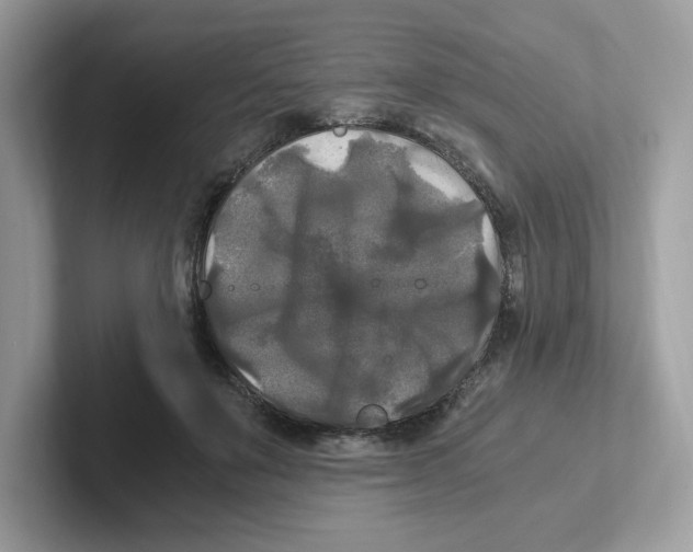 X0000100940503200807221200