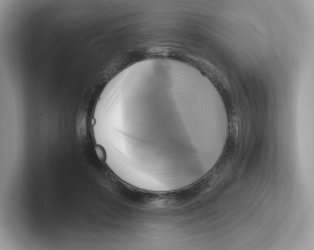 X0000100940504200807221200