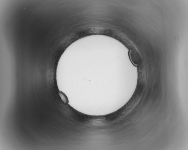 X0000100940505200807221200