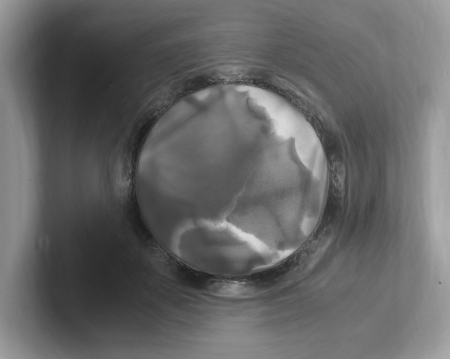 X0000100940507200807221200