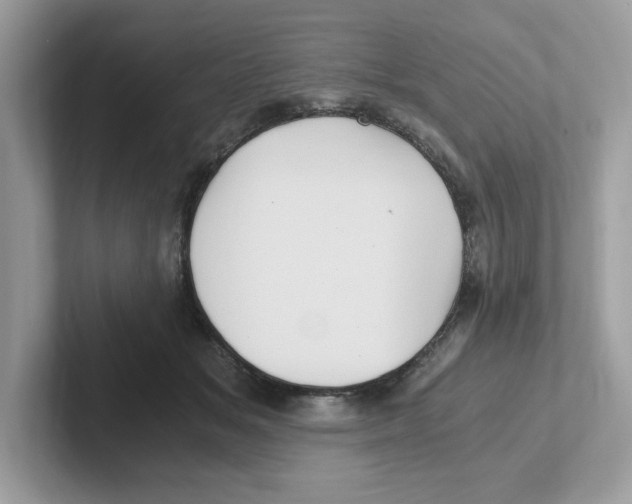 X0000100940509200807221200