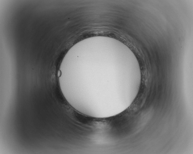 X0000100940510200807221200