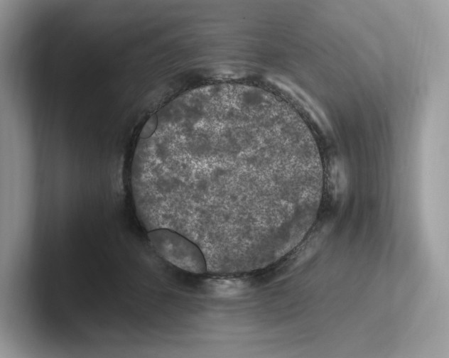 X0000100940512200807221200