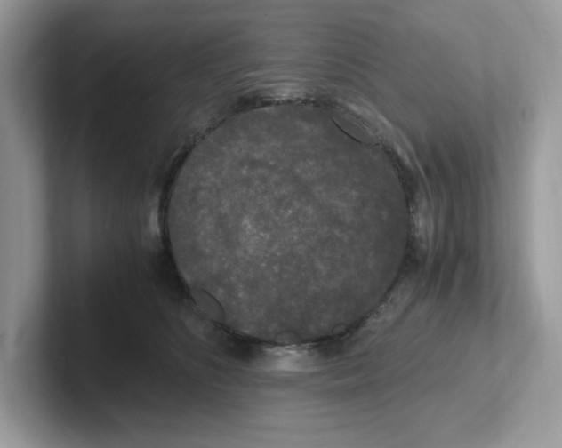 X0000100940516200807221200