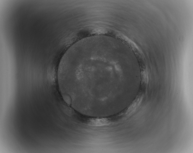 X0000100940517200807221200