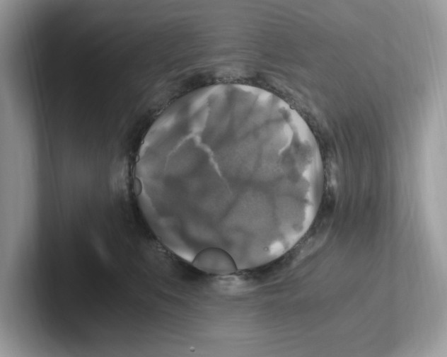 X0000100940519200807221200