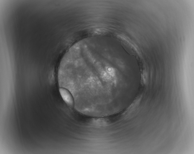 X0000100940520200807221200