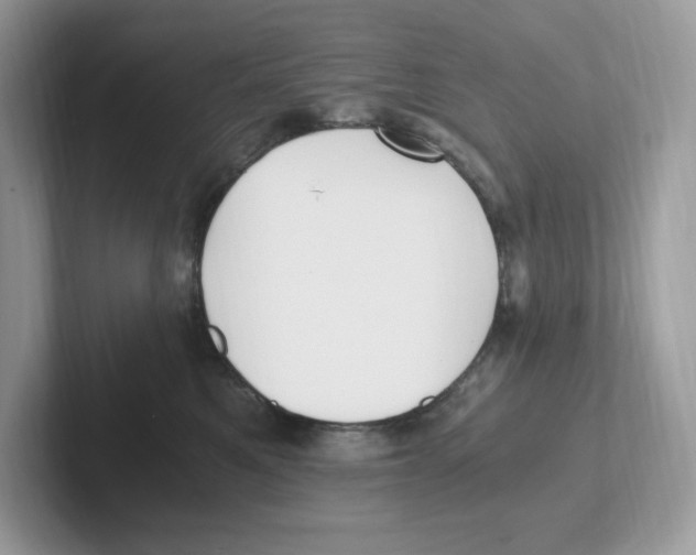 X0000100940521200807221200