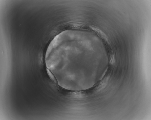 X0000100940524200807221200