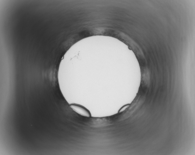 X0000100940525200807221200