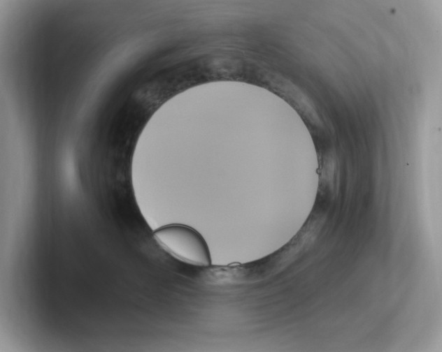 X0000100940526200807221200