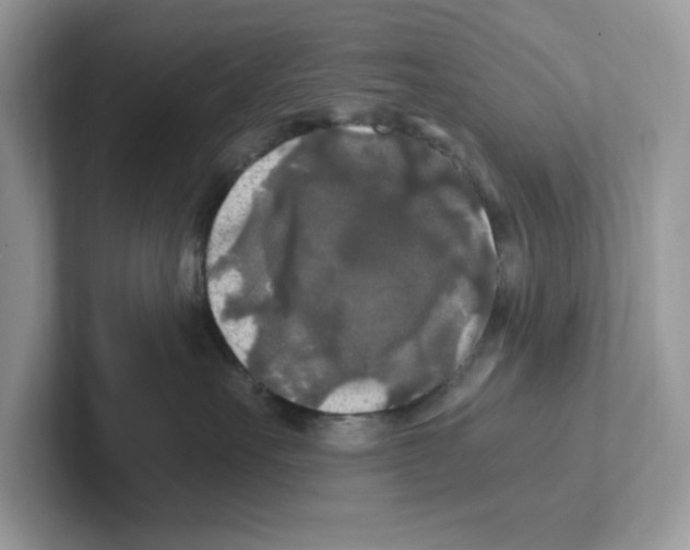 X0000100940527200807221200