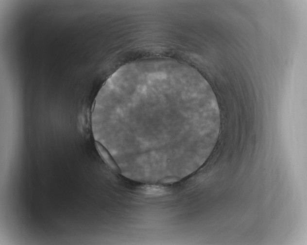 X0000100940528200807221200