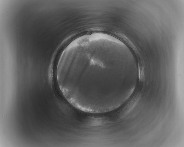 X0000100940531200807221159