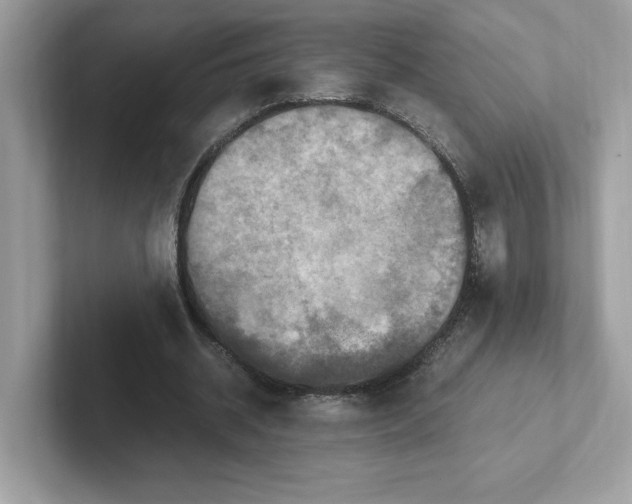 X0000100940534200807221159