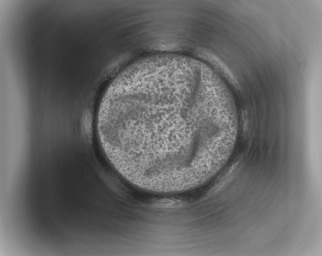 X0000100940542200807221159