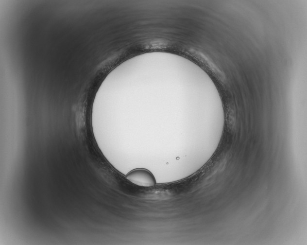 X0000100940543200807221159