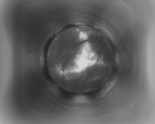 X0000100940547200807221159