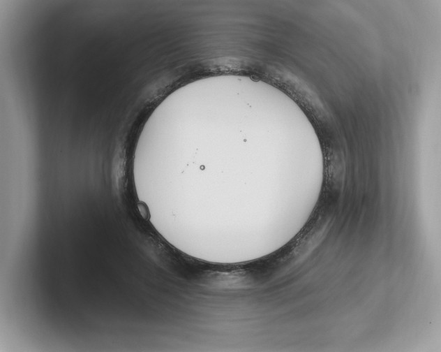 X0000100940548200807221159