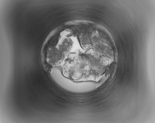 X0000100940549200807221159