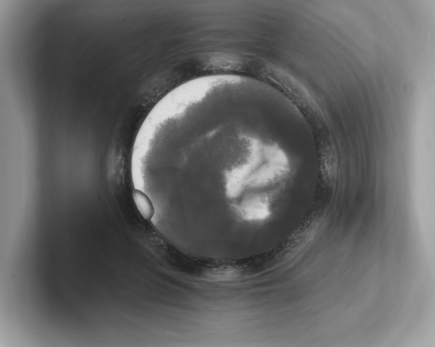 X0000100940551200807221159